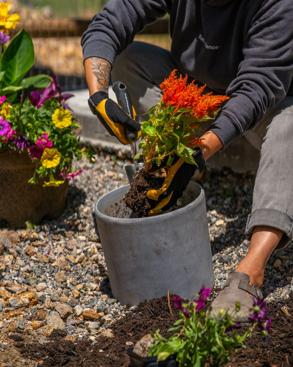 Garden Hand Tools