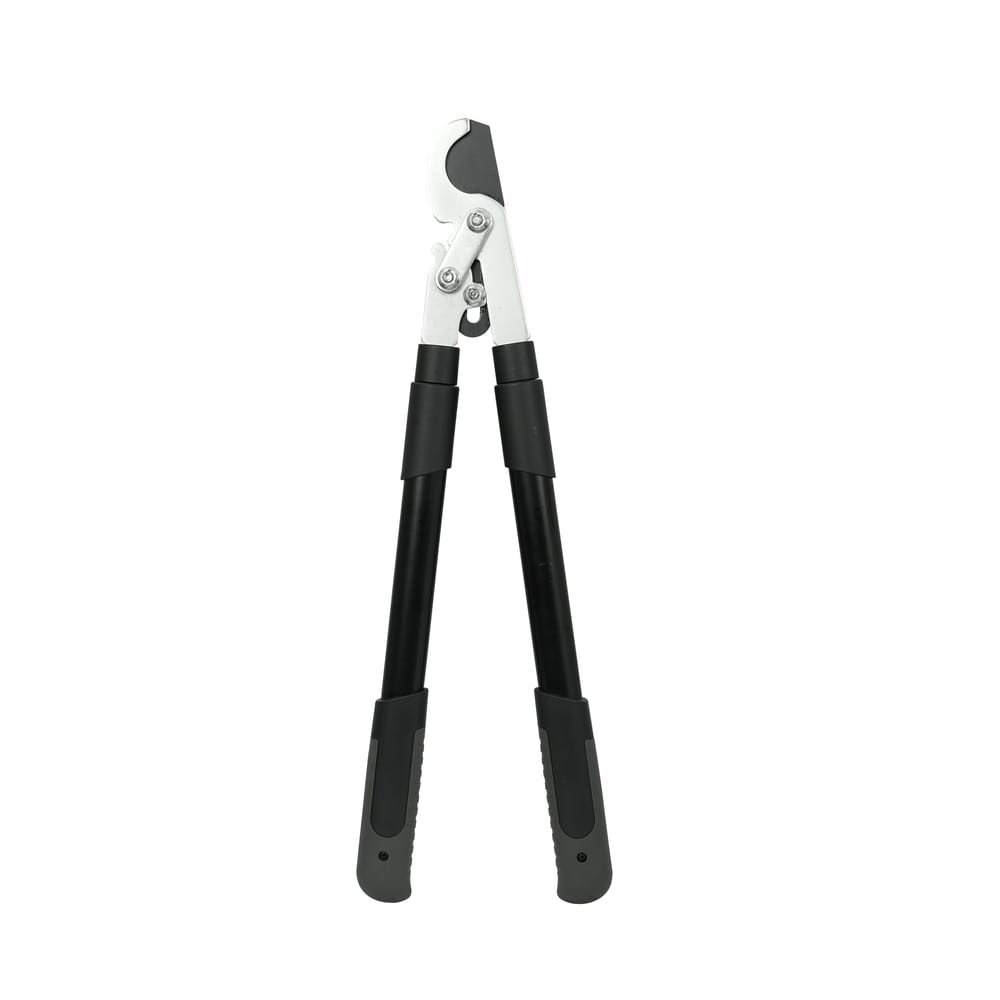 Extendable Bypass Lopper