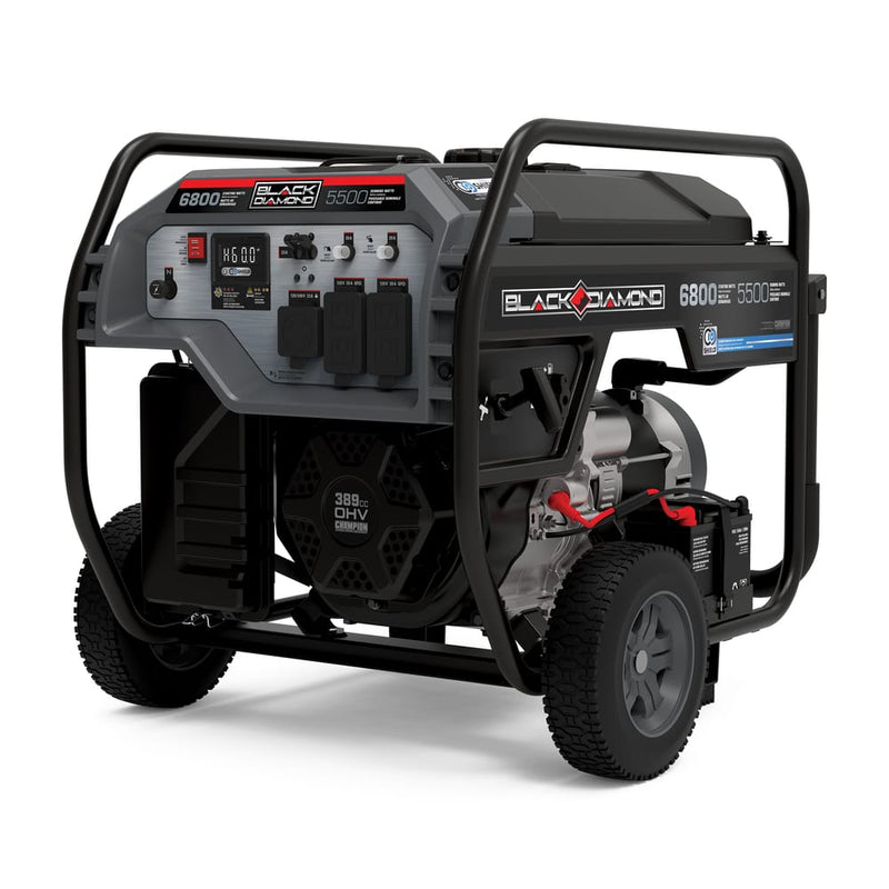 5500-Watt Portable Generator with CO Shield<sup>®</sup>