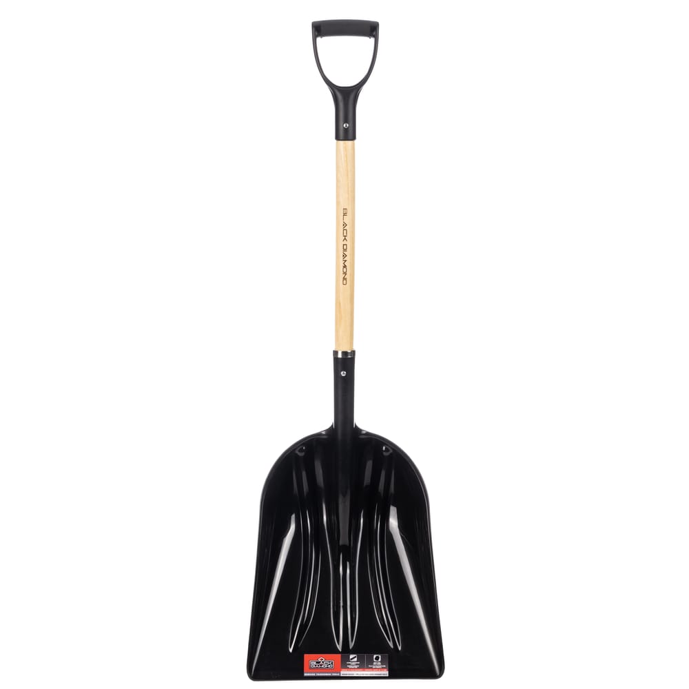Grain Scoop