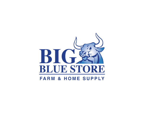 Big Blue of Clinton