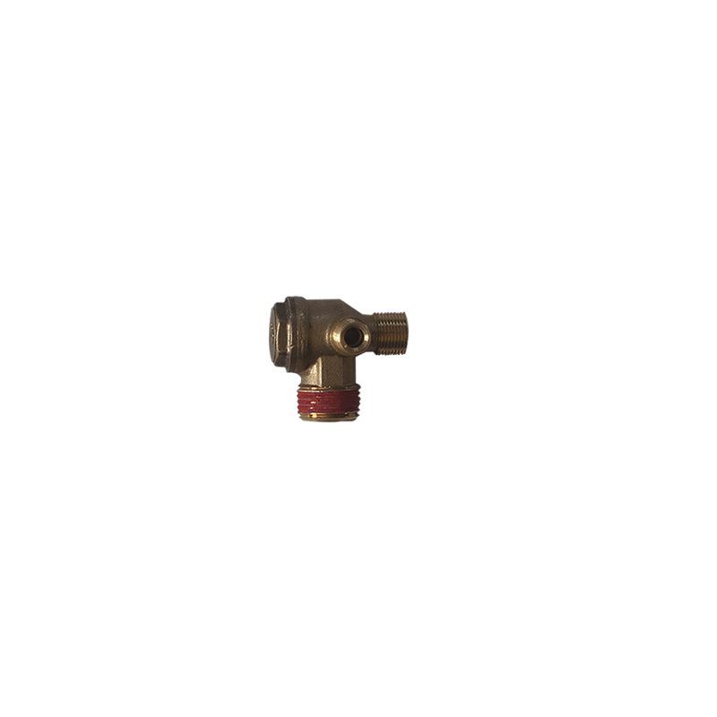 Check Valve